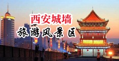 有操屄的视频吗中国陕西-西安城墙旅游风景区